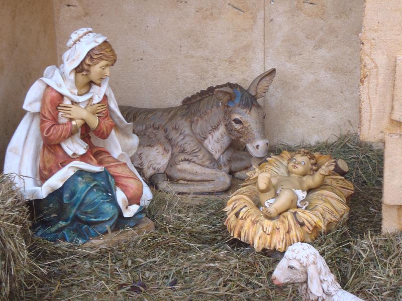 Natale 2008 (3)